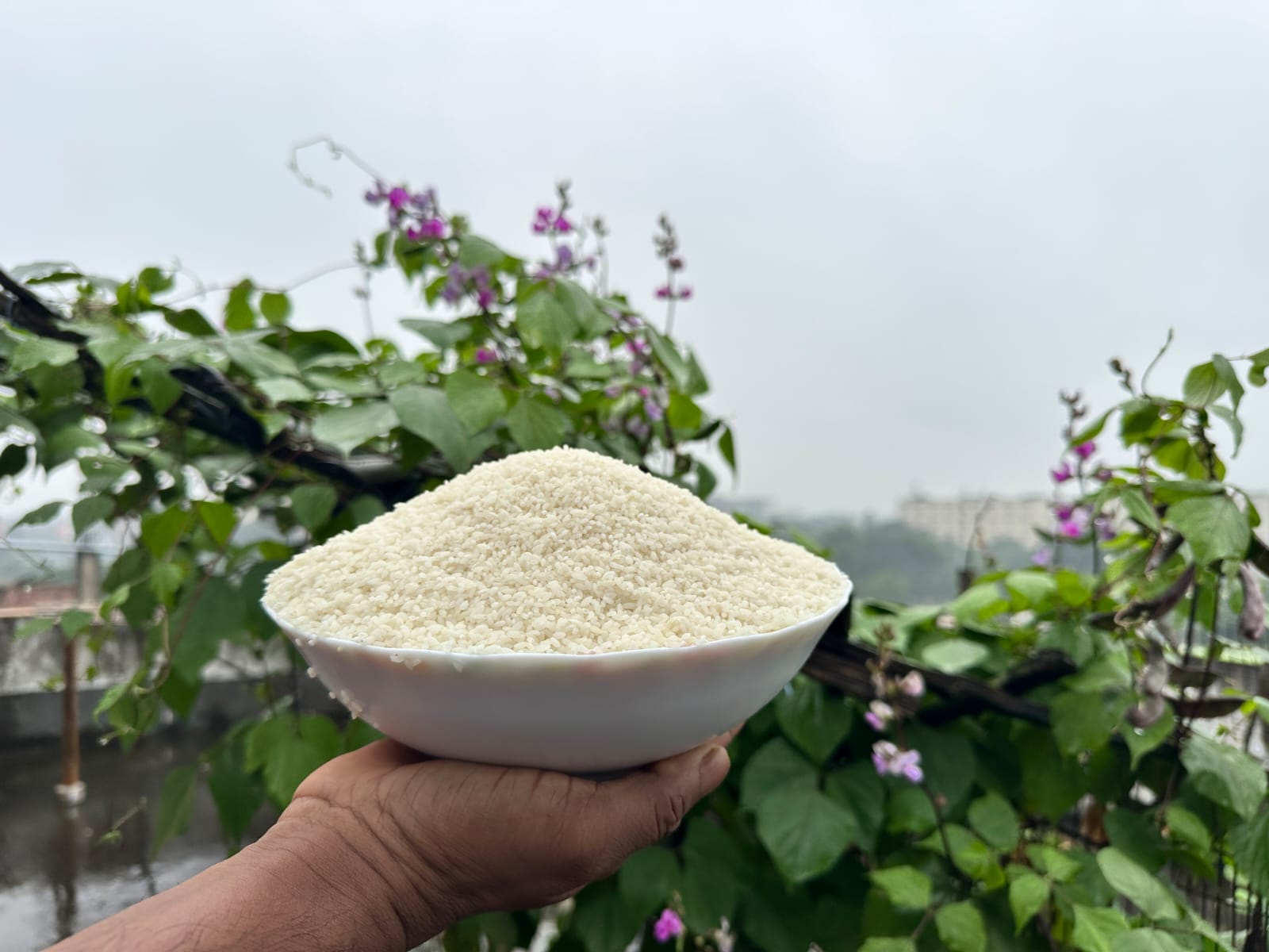 সুগন্ধি চিনিগুঁড়া পোলাও: