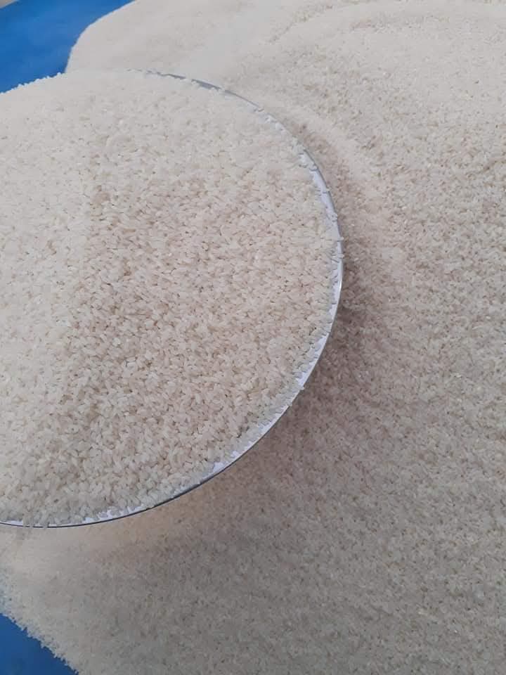 সুগন্ধি বাদশাভোগ চাল