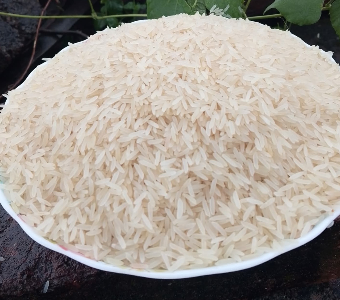 দেশি বাসমতি বা বাংলামতি চাল