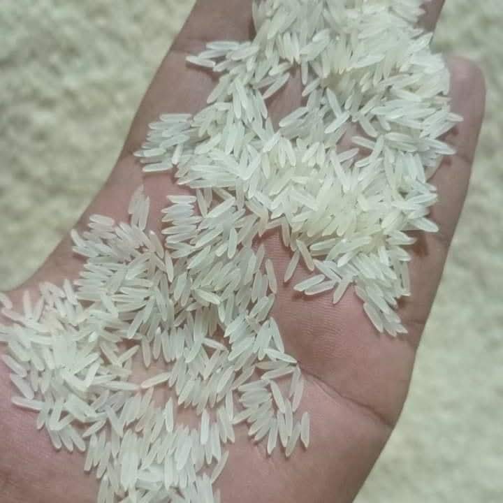 ব্রি-৬৩ চাল